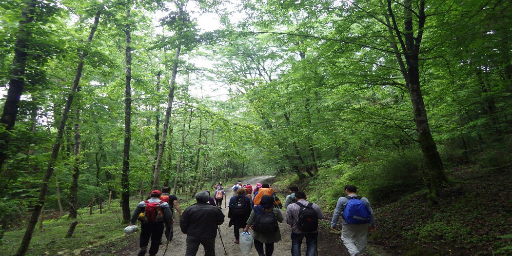 انتخاب تور طبیعتگردی انتخاب تور طبیعتگردی