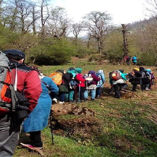 کمپ تابستانی کمپ تابستانی