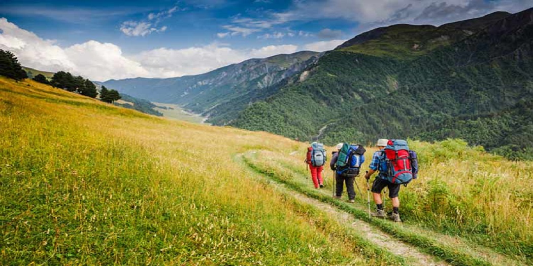 بهترین کانالهای تلگرام برای تور بهترین کانالهای تلگرام برای تور