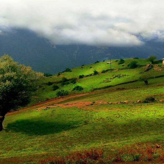 آلاشت سوادکوه