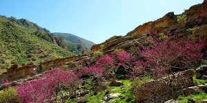 طبیعتگردی مشهد 