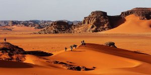 سفر به کویر 