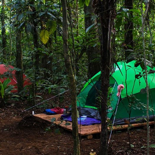 سفر به پارک ملی گلستان سفر به پارک ملی گلستان