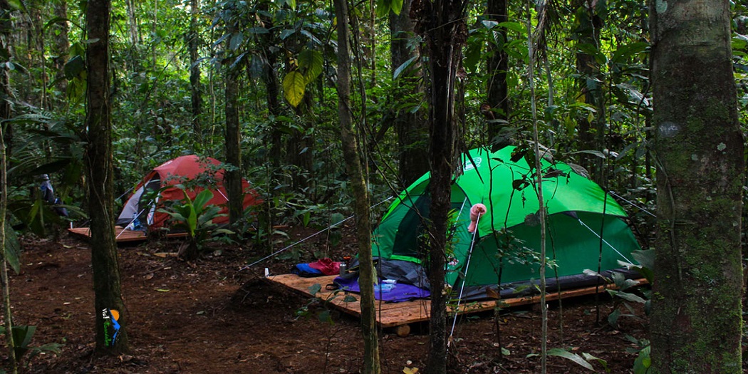 سفر به پارک ملی گلستان سفر به پارک ملی گلستان