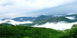 مشهد به گرگان