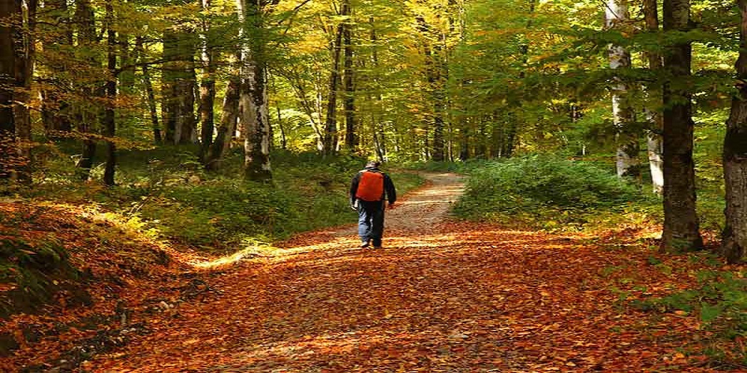 تورهای طبیعت‌گردی پاییزی