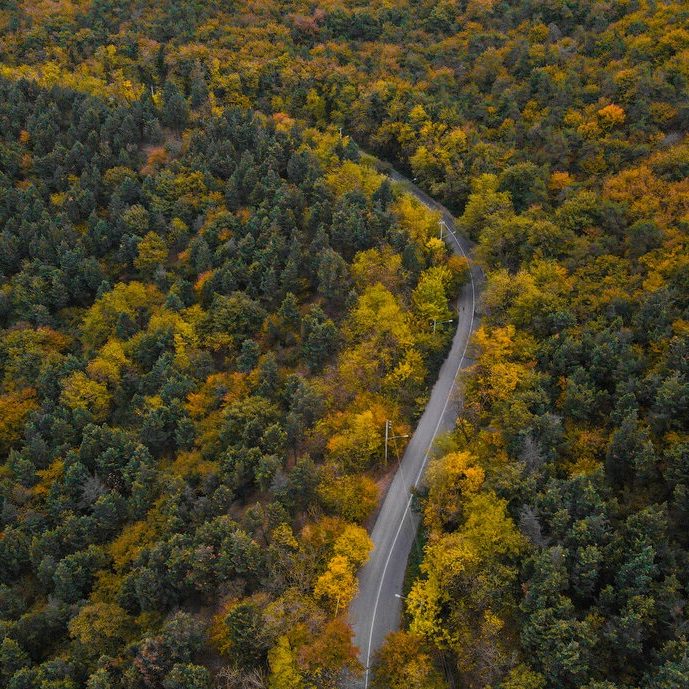 سفر به پارک ملی گلستان