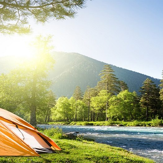 رزرو تور طبیعت‌گردی