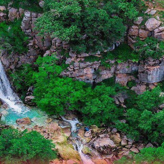 جنگل-نای-انگیز-لرستان