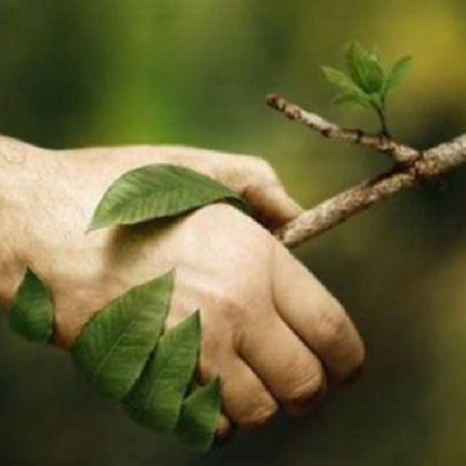 حفظ محیط زیست حفظ محیط زیست