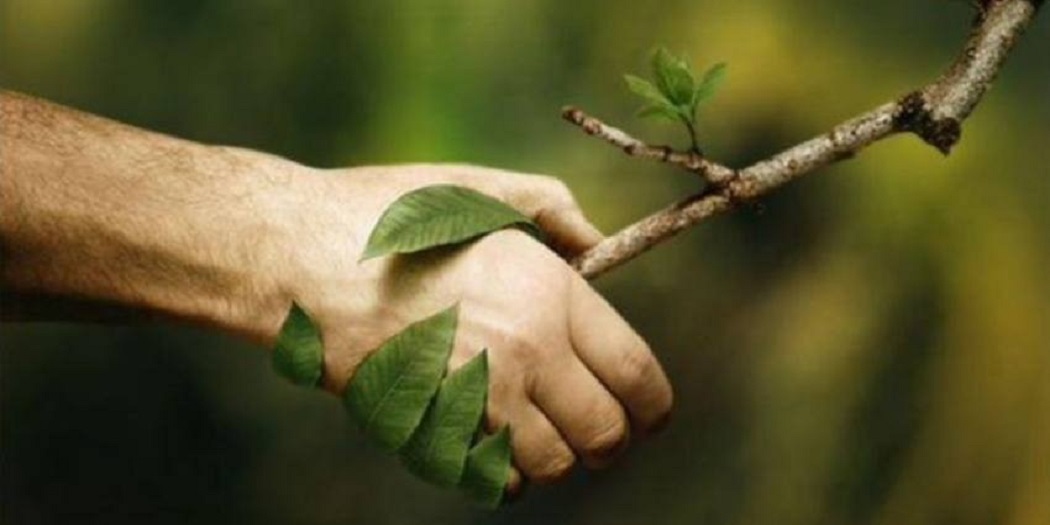 حفظ محیط زیست حفظ محیط زیست