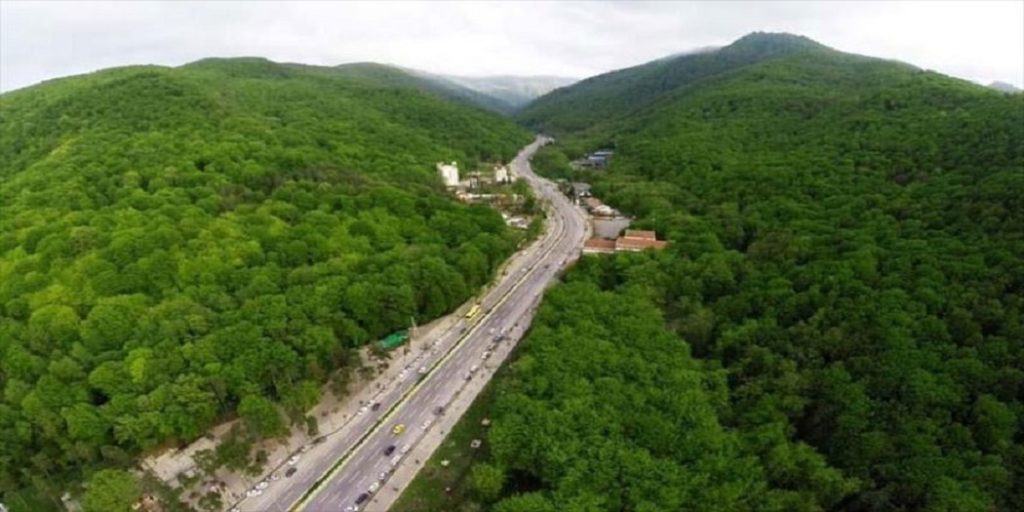 کمپینگ در جنگل توسکستان گرگان