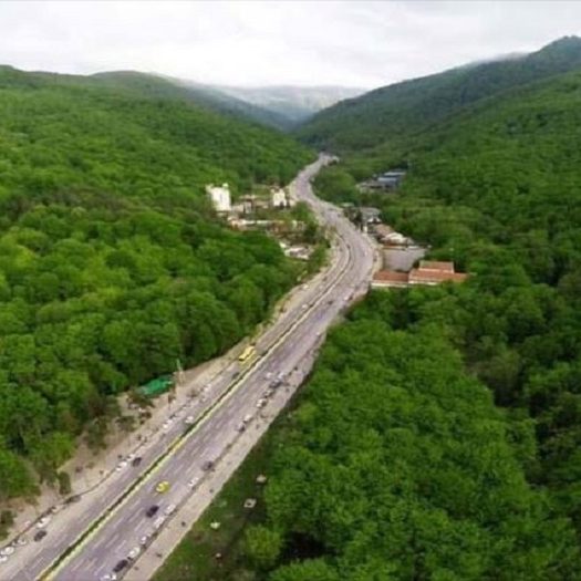 کمپینگ در جنگل توسکستان گرگان