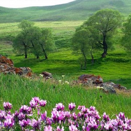 آذربایجان شرقی